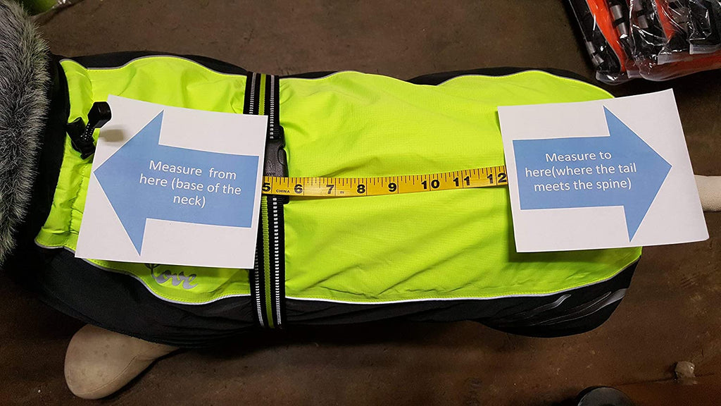 Mt. Tallac Winter Dog Coat - Technical Jacket Is, Black, Size 22" - 55Cm